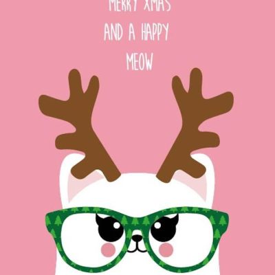 Merry Christmas and a happy meow - kerstkaart