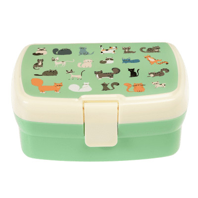kinder lunchbox broodtrommel