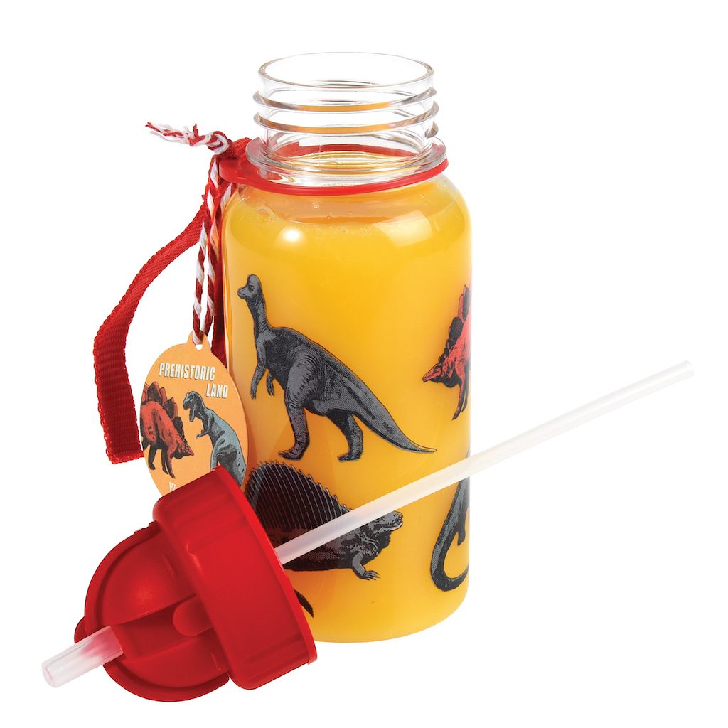 waterfles kind dinosaurus 500 ml