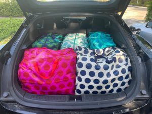 opbergtas in de auto