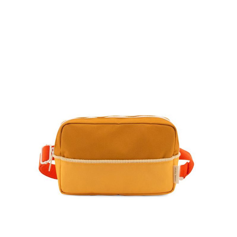 kleurrijke heuptasje ruim formaat