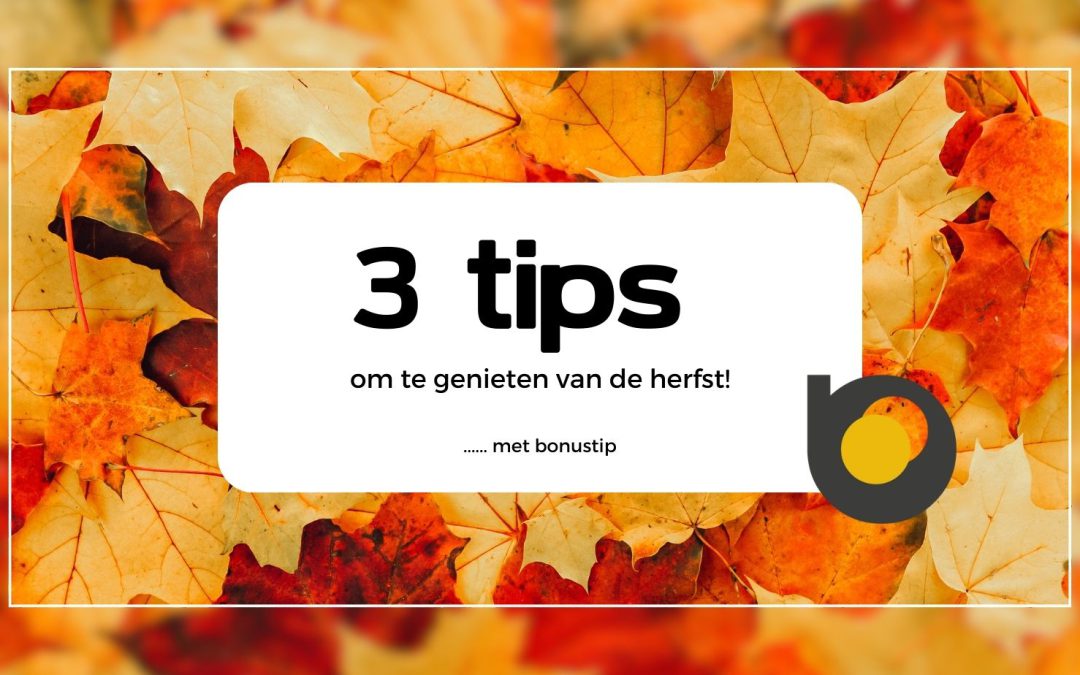 3 herfst tips om te genieten  – met bonustip