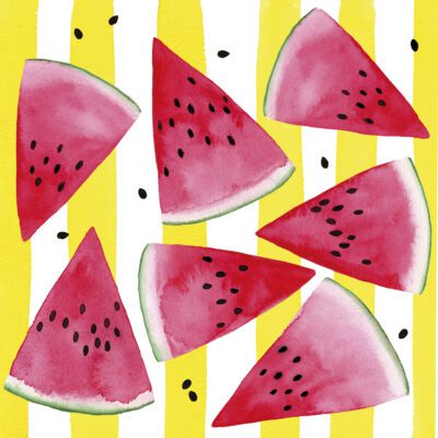 papieren servetten met meloen fruit, 20 stuks